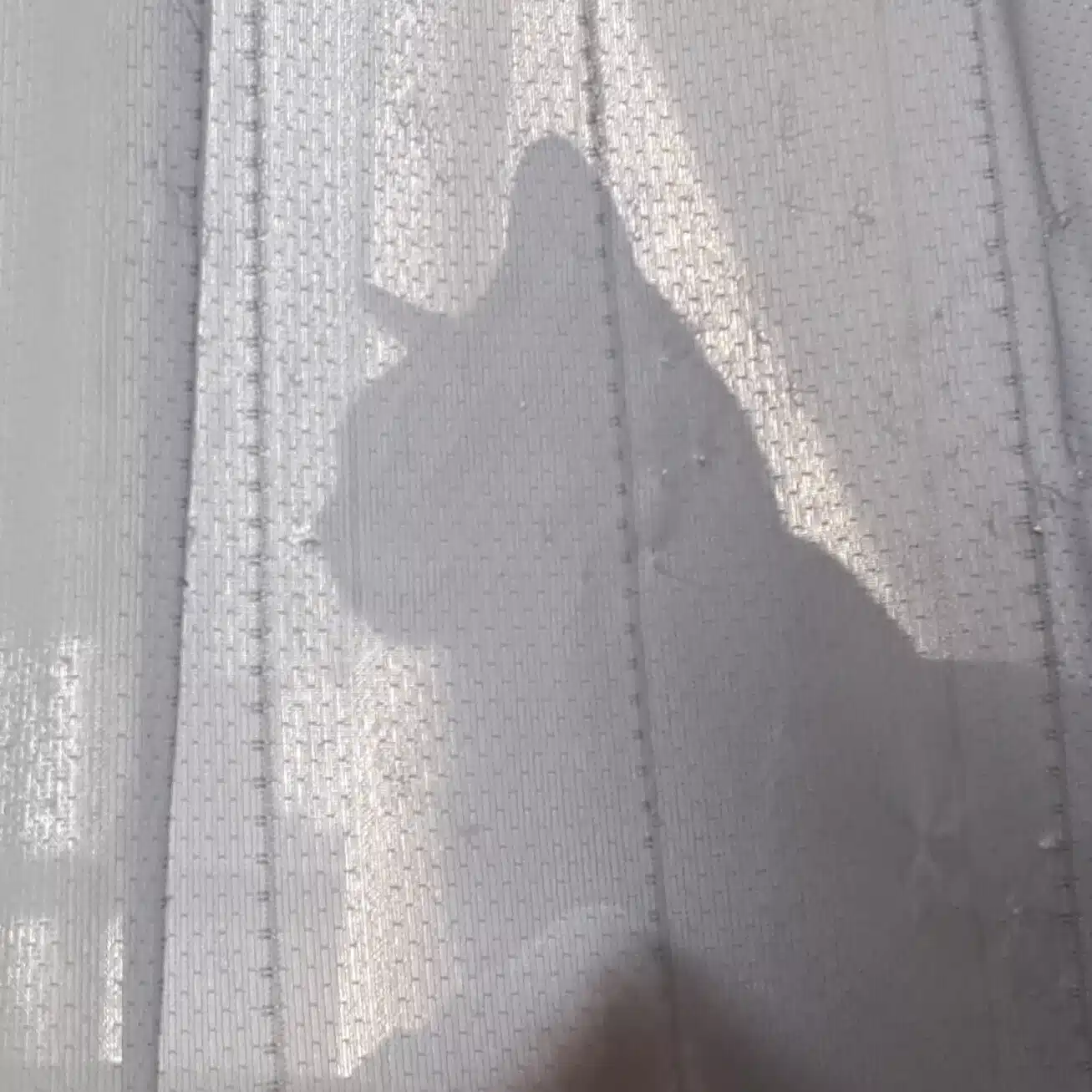 柳家吉緑