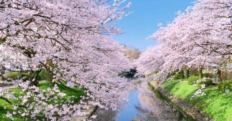 禅の道(40)宝鏡三昧|念水庵 禅の道(40)宝鏡三昧|念水庵