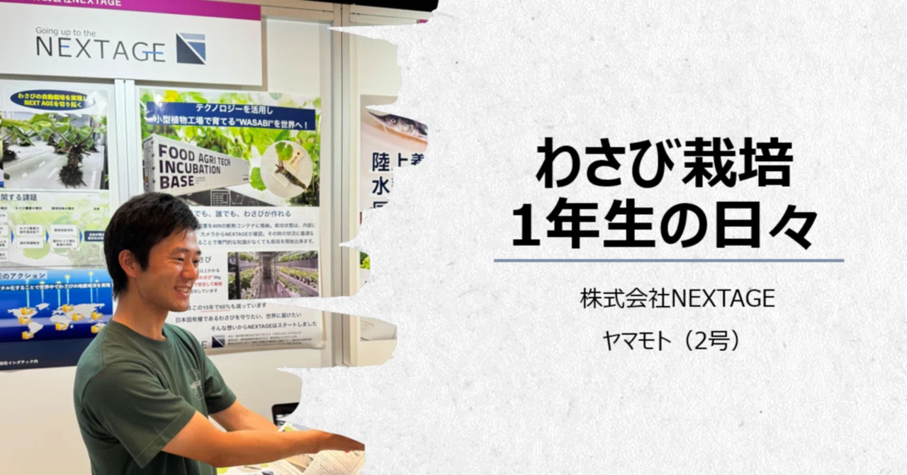 わさび栽培1年生の日々｜株式会社NEXTAGE
