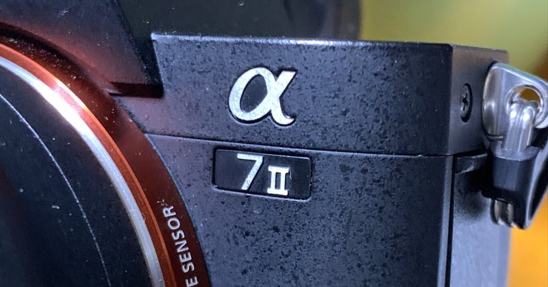 SONY α7IIIは10年使えるミラーレスの名機|S O SONY α7IIIは10年使えるミラーレスの名機|S O