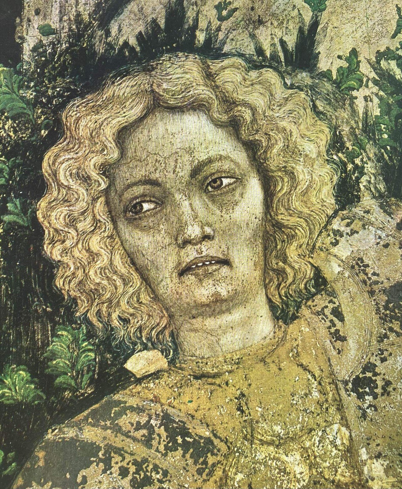 80歳夫婦イタリア絵画旅行記 (30)｜Caita911