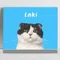 EZFORFUN｜ペットオーダーグッズ専門
