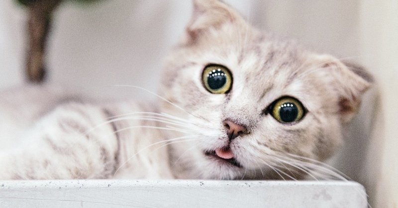 クリエイティビティは 才能 ではなかった こしあん Note