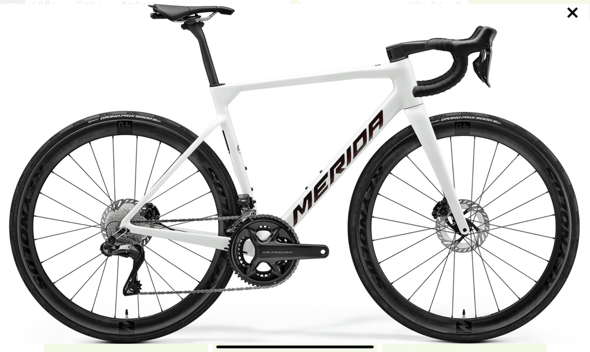 ピナレロ プリンス2019モデル 白/橙 56 アルテグラ、レーシングゼロC17