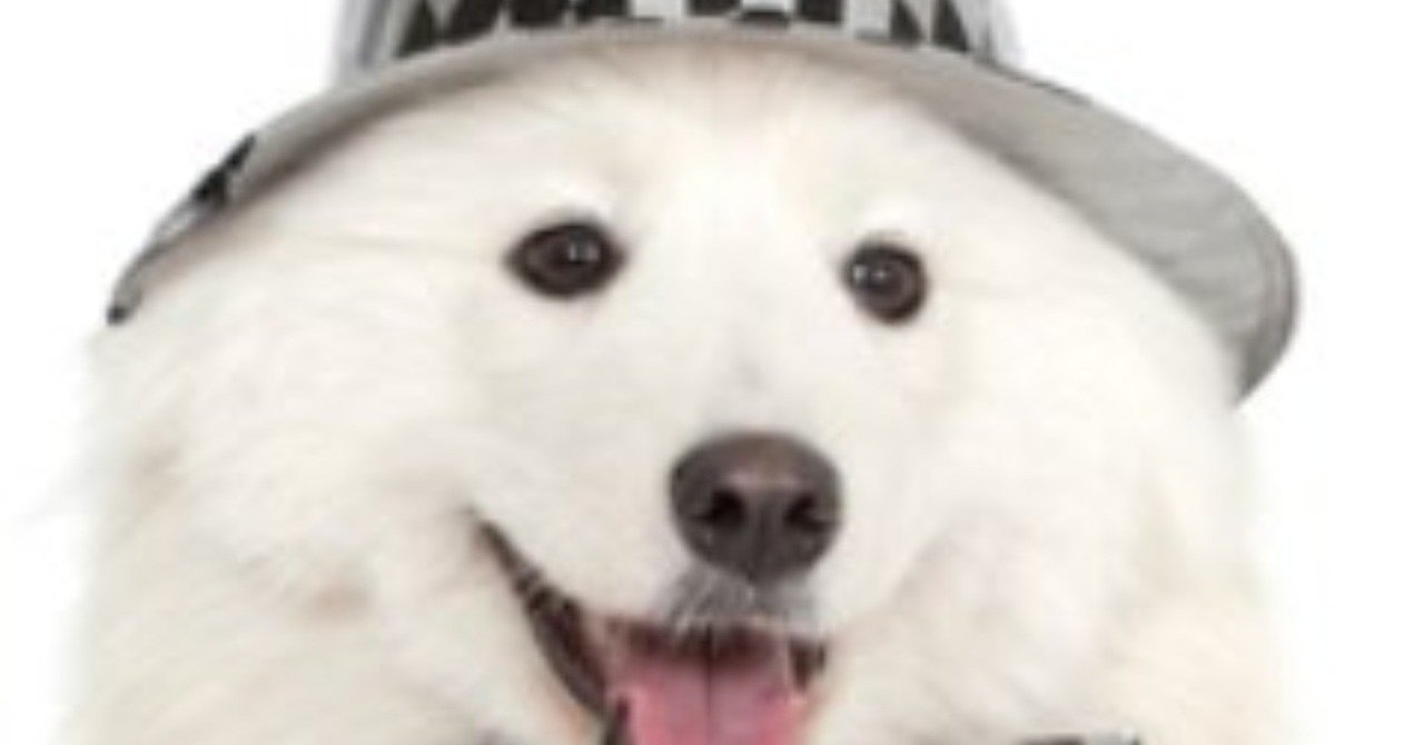 開業 レンタルスペースを作ろうとしている話 白井サモエド Note