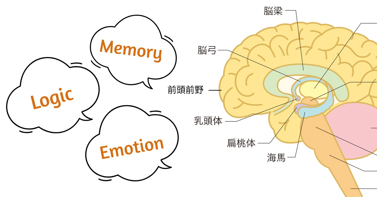 [Personality Test Style] Examining 3 Types of Thinking Habits ...