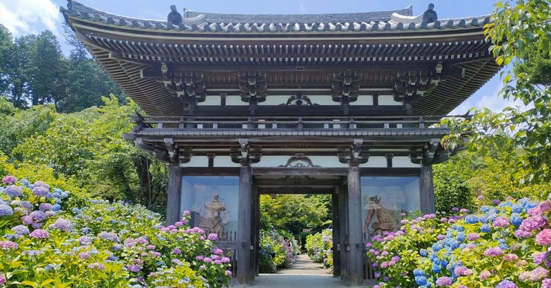 紫陽花」の人気タグ記事一覧｜note ――つくる、つながる、とどける。