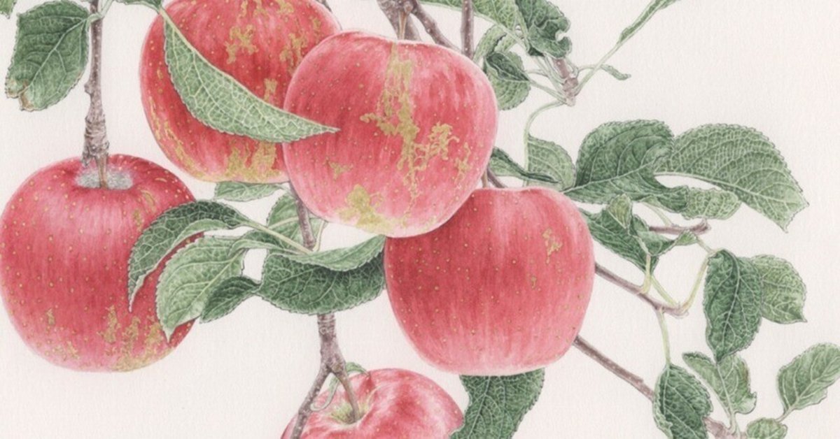 りんごの絵｜orie