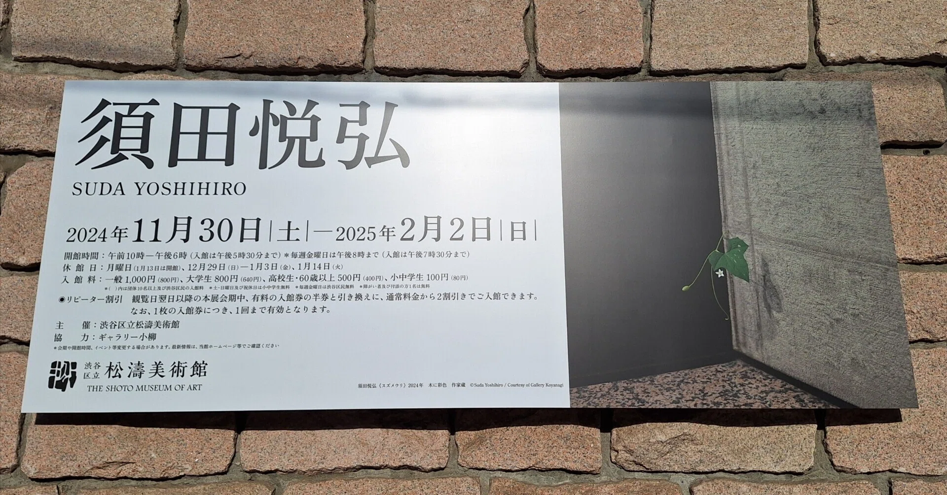 「現代版超秀作展」　作品のタイトルは「コップにさした雑草」 美術館に雑草が生えてる!？🌿】「須田悦弘」渋谷区立松涛美術館
