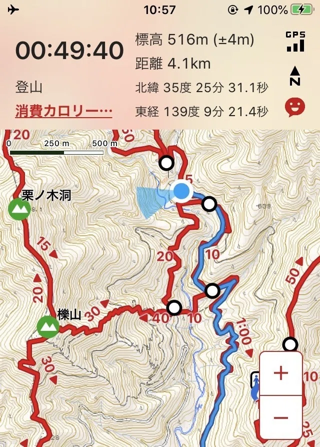 画像7