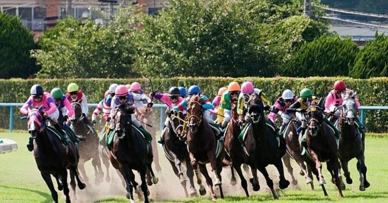 3/30(日)中山競馬1R☆予想☆9.55分発走〜｜ジュタ