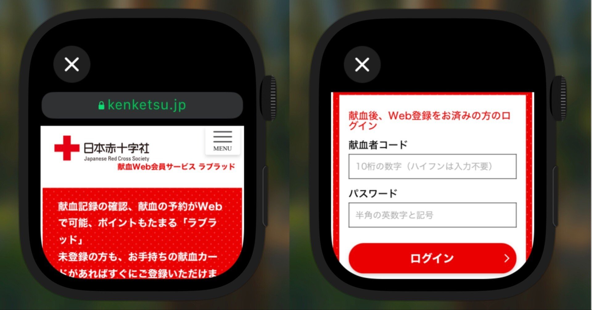 iPhone、ipadまとめ売り赤字覚悟 154256-5-