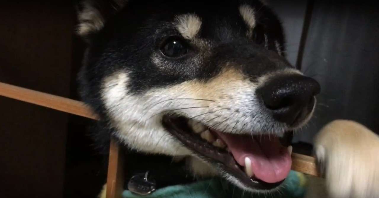 見よう見まね をやってみた おおにわなつお Note