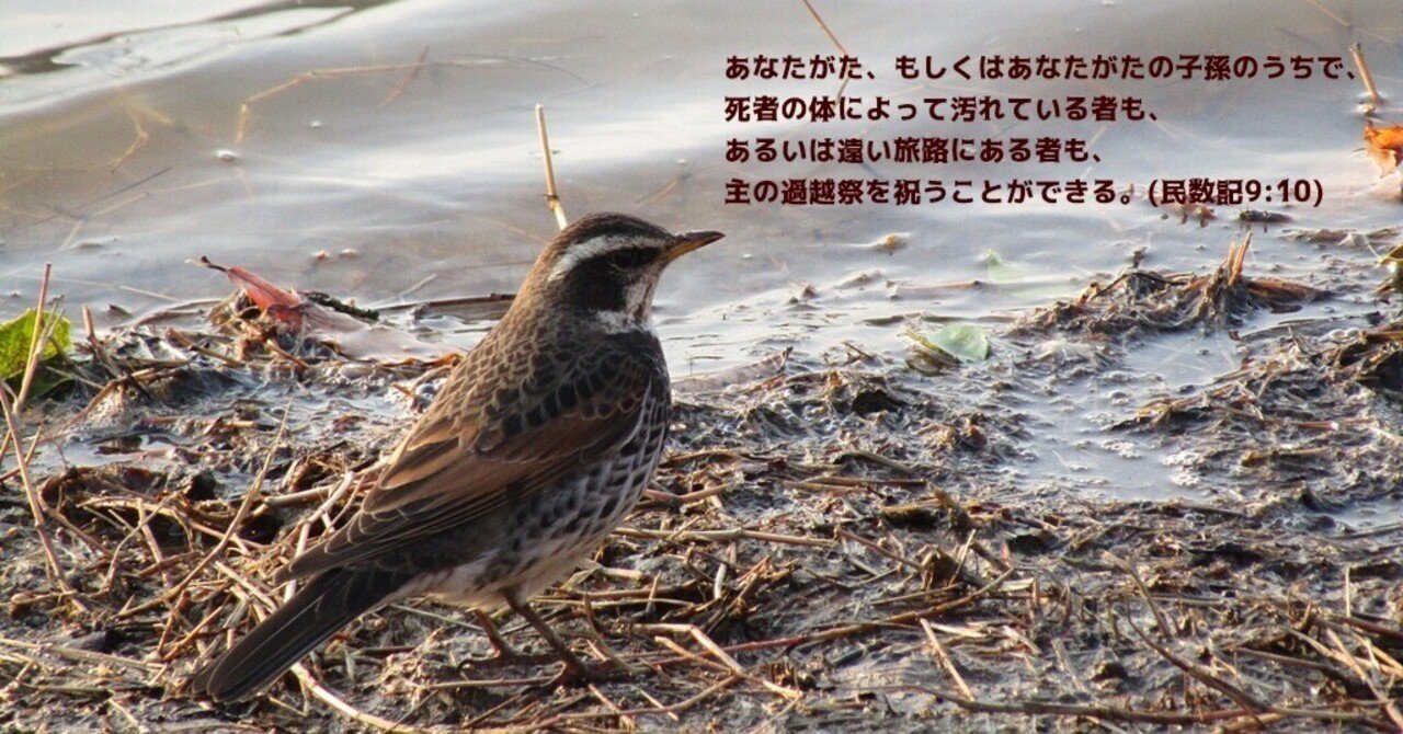 過越 