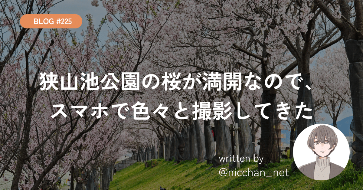 225】狭山池公園の桜が満開なので、スマホで色々と撮影してきた 225】狭山池公園の桜が満開なので、スマホで色々と撮影してきた