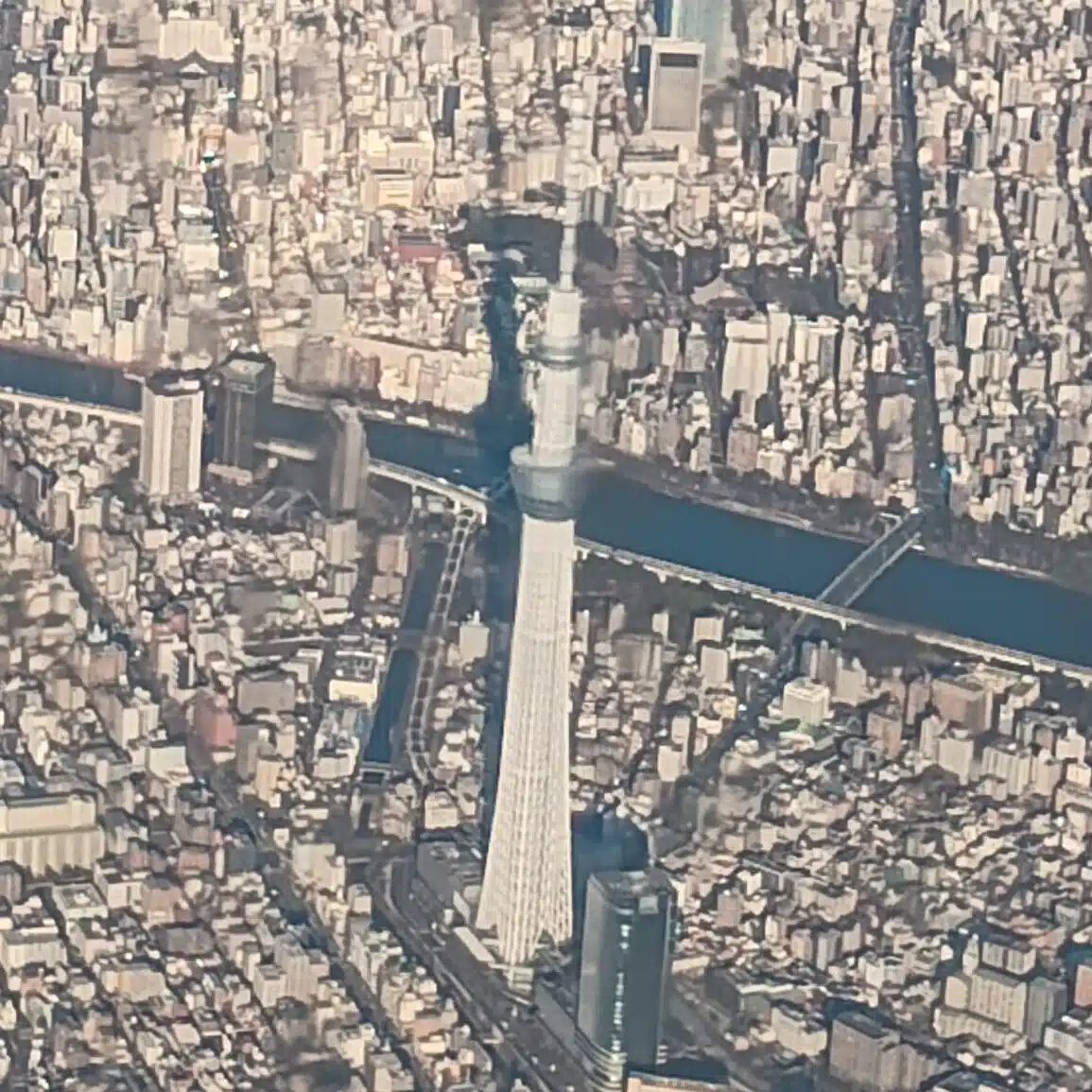 竹田衛の備忘録