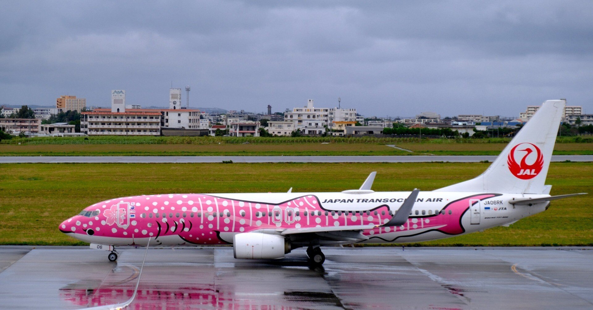 JTA フライトタグ　結ジンベエ 2個　しまくとぅばシール 2枚ポストカード2枚 美ら島エアフェスタ2025 🌺 ＼グッズ紹介第5弾✈️／ 🐋オリジナル