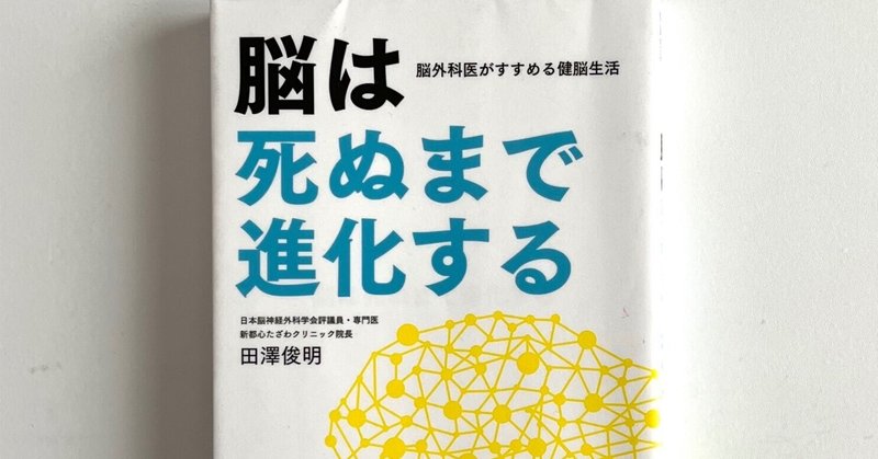 カラー版 ベアー コノーズ パラディーソ 神経科学 脳の探求