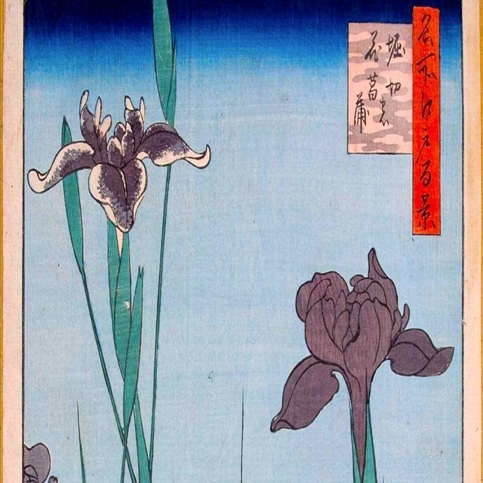 名所江戸百景 堀切の花菖蒲｜artoday - chiaki