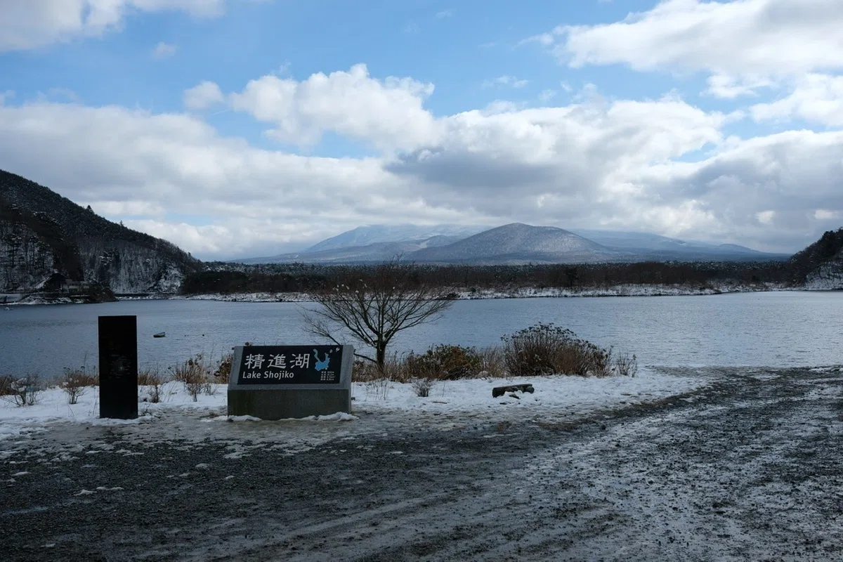 画像9