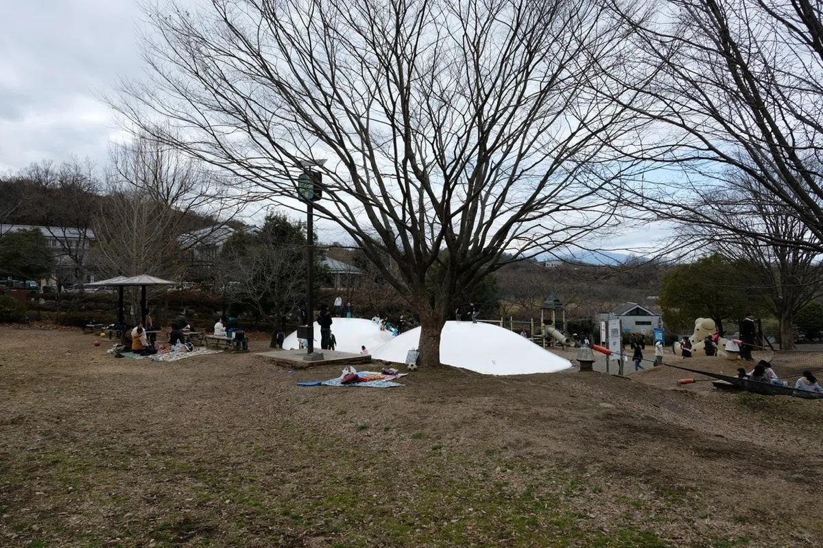 画像15