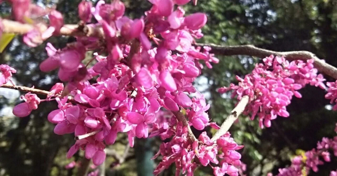 What are the values of 'process over results' and the 'new form of ...
