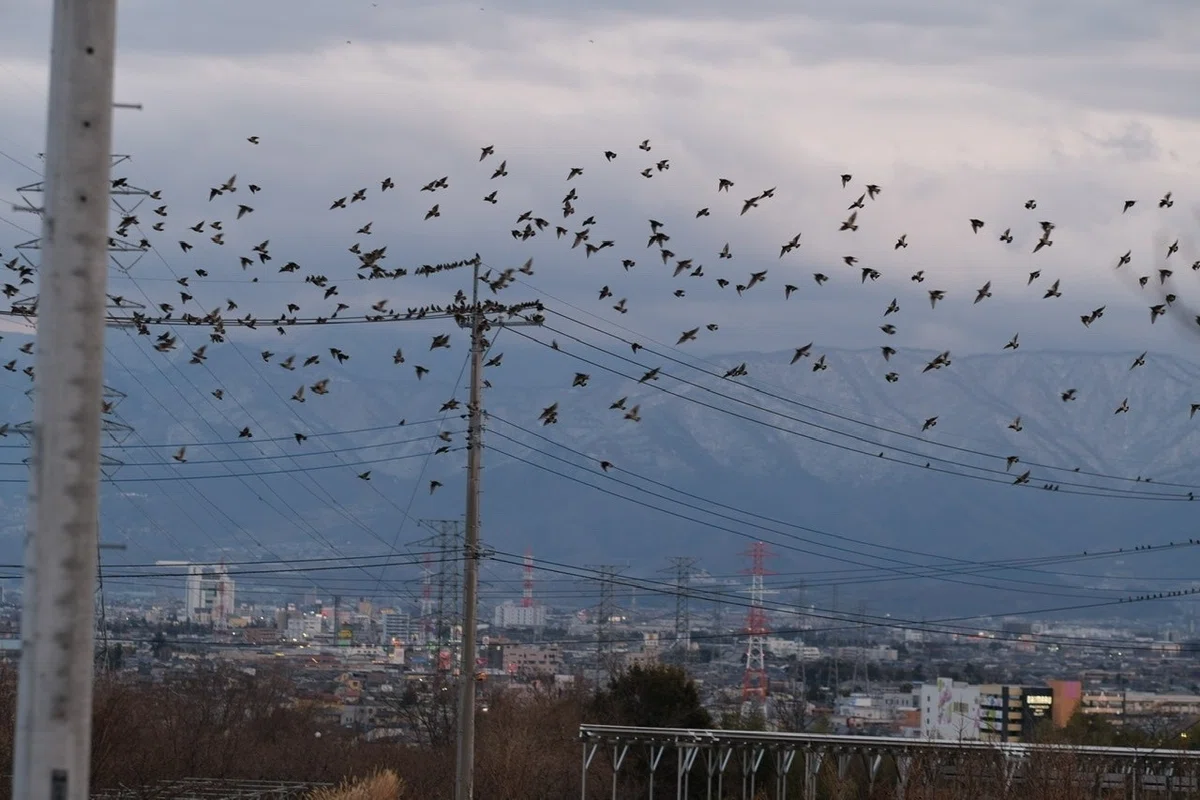 画像36