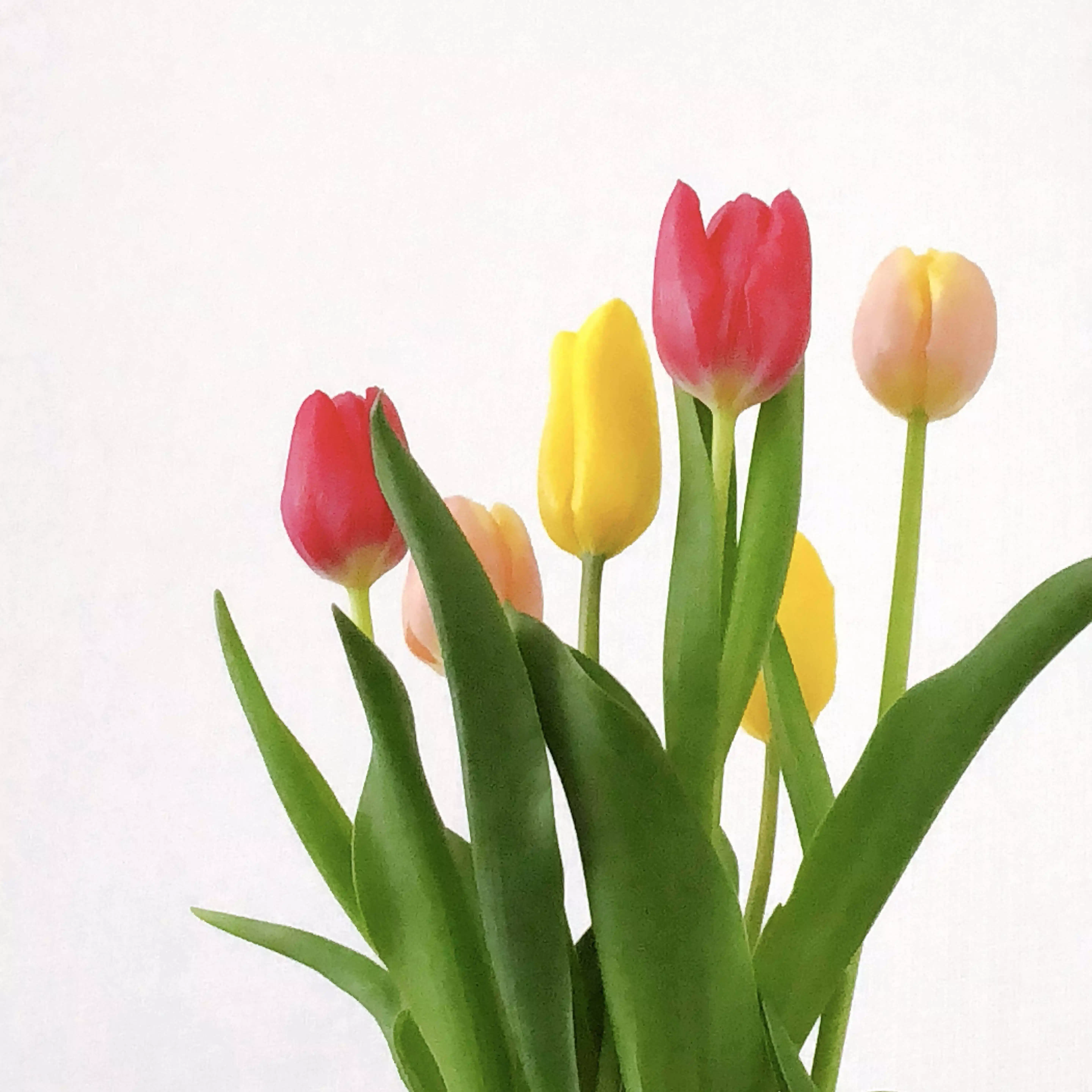遠藤ゆうか🌷/｢好き｣を貫くライフスタイル