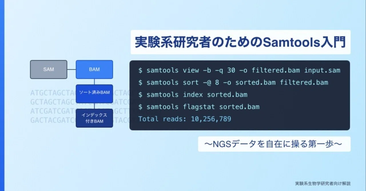 実験系研究者のためのSamtools入門 〜NGSデータを自在に操る第一歩〜｜Ozk