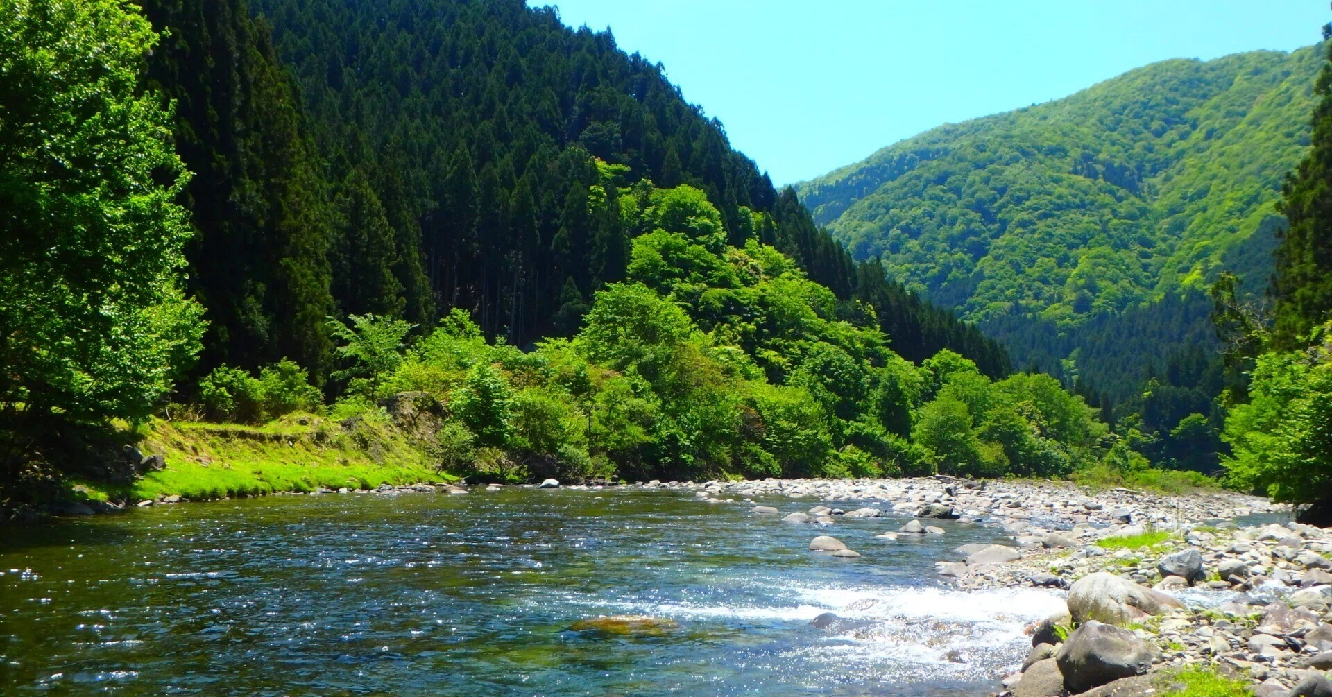 新緑の根尾西谷川にて渓流リハビリ釣行｜SW工房