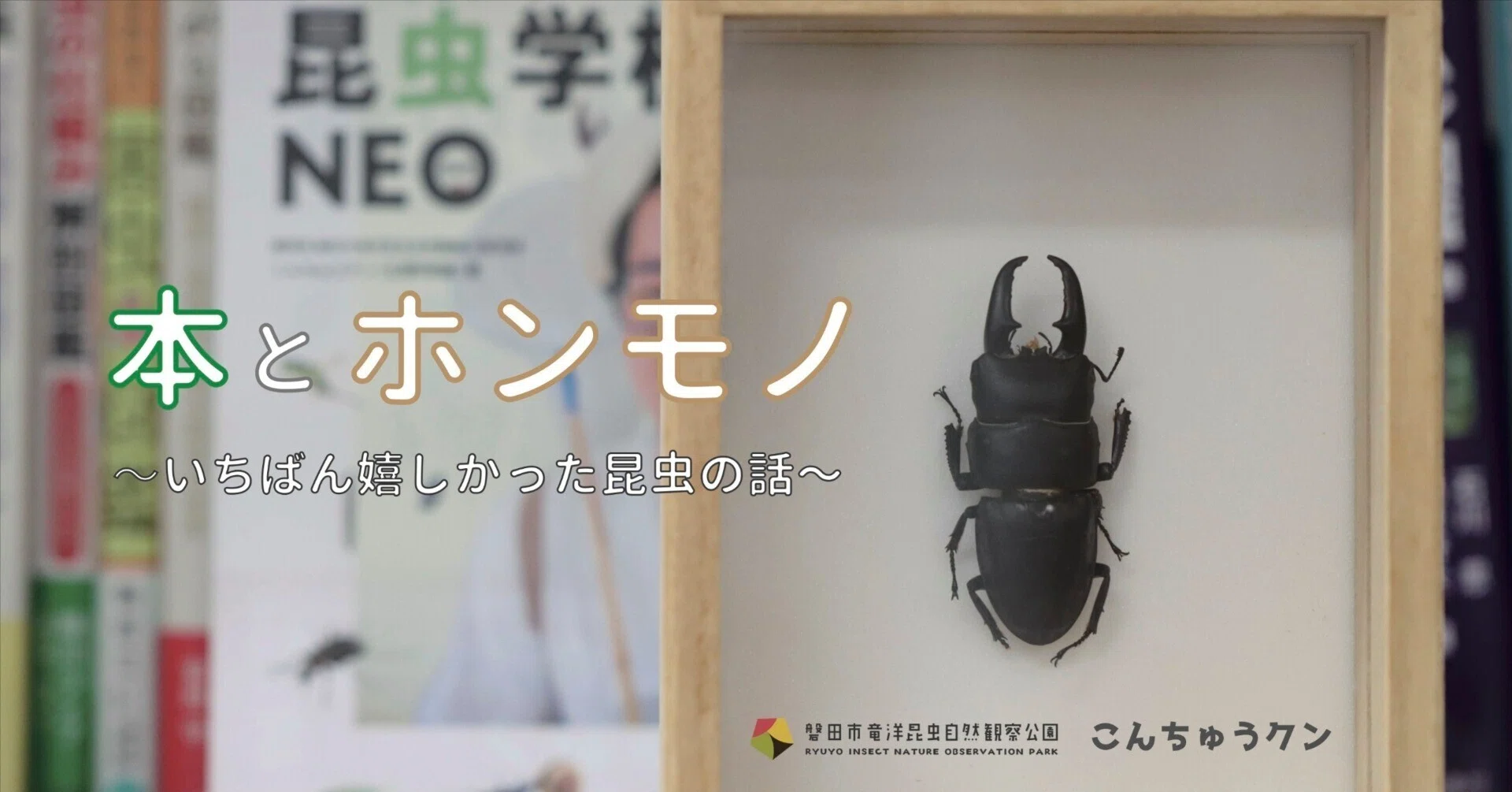 本 自然観察者の手記 昆虫とともに五十年 岩田久二雄
