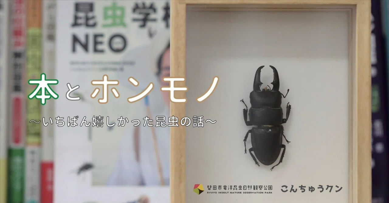自然観察者の手記 昆虫とともに五十年 岩田久二雄 僕と父と本とホンモノ｜竜洋昆虫自然観察公園