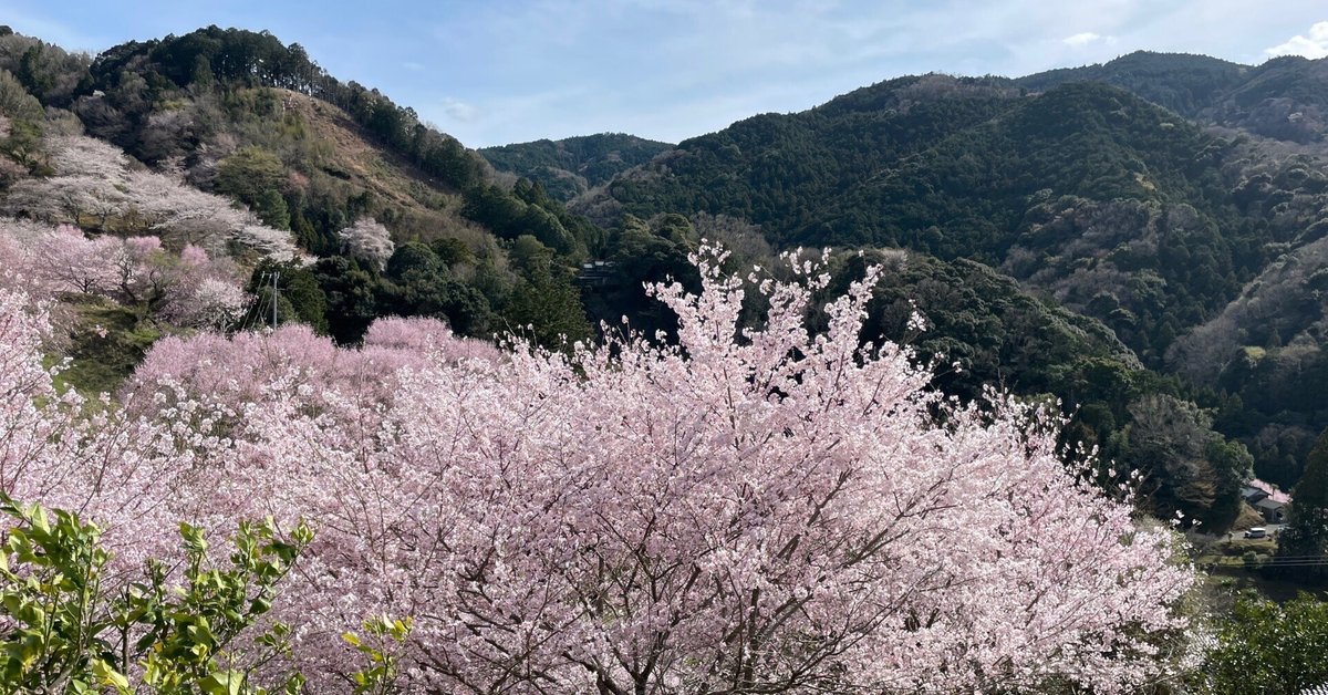 No. 1【初夏の紀の川里風景】 mqdefault.jpg