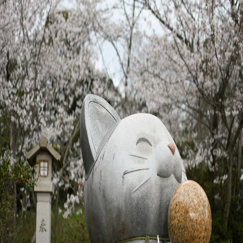 2025春〜桜を求めて香川県亀鶴公園｜Kazu8492