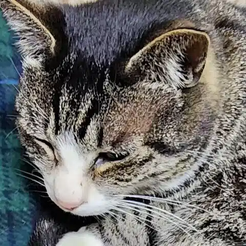 最遥媛