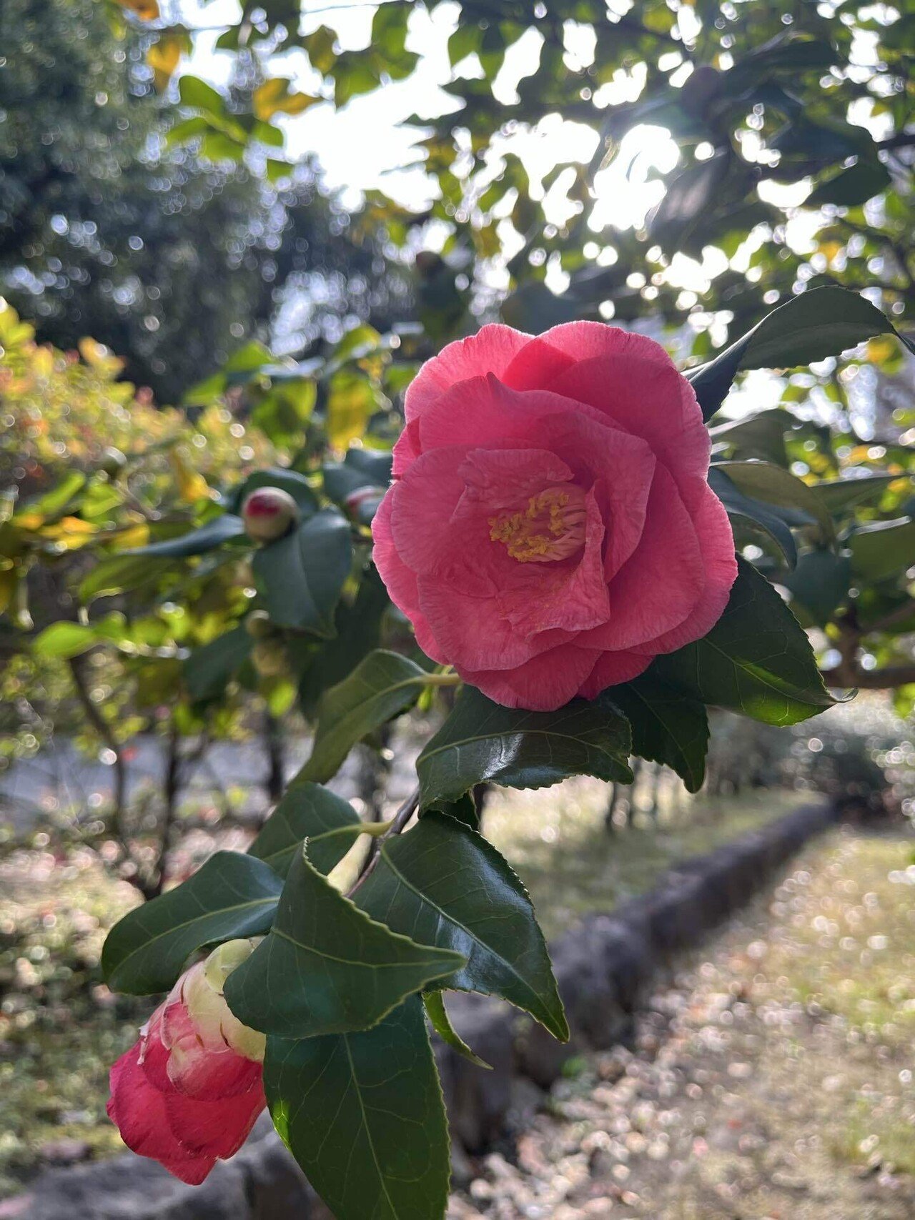 古布　正絹　吊るし椿　錦紗縮緬　疋田模様　麻の葉　くくり花　さげもん　鬼しぼ 正絹古布」使用 高級つるし雛 | つるし雛販売：飯田人形（磐田市