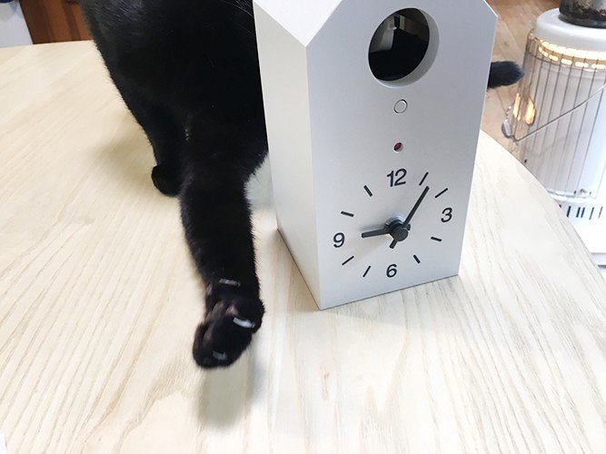1月日 生駒さちこ Note 1月日 生駒さちこ Note