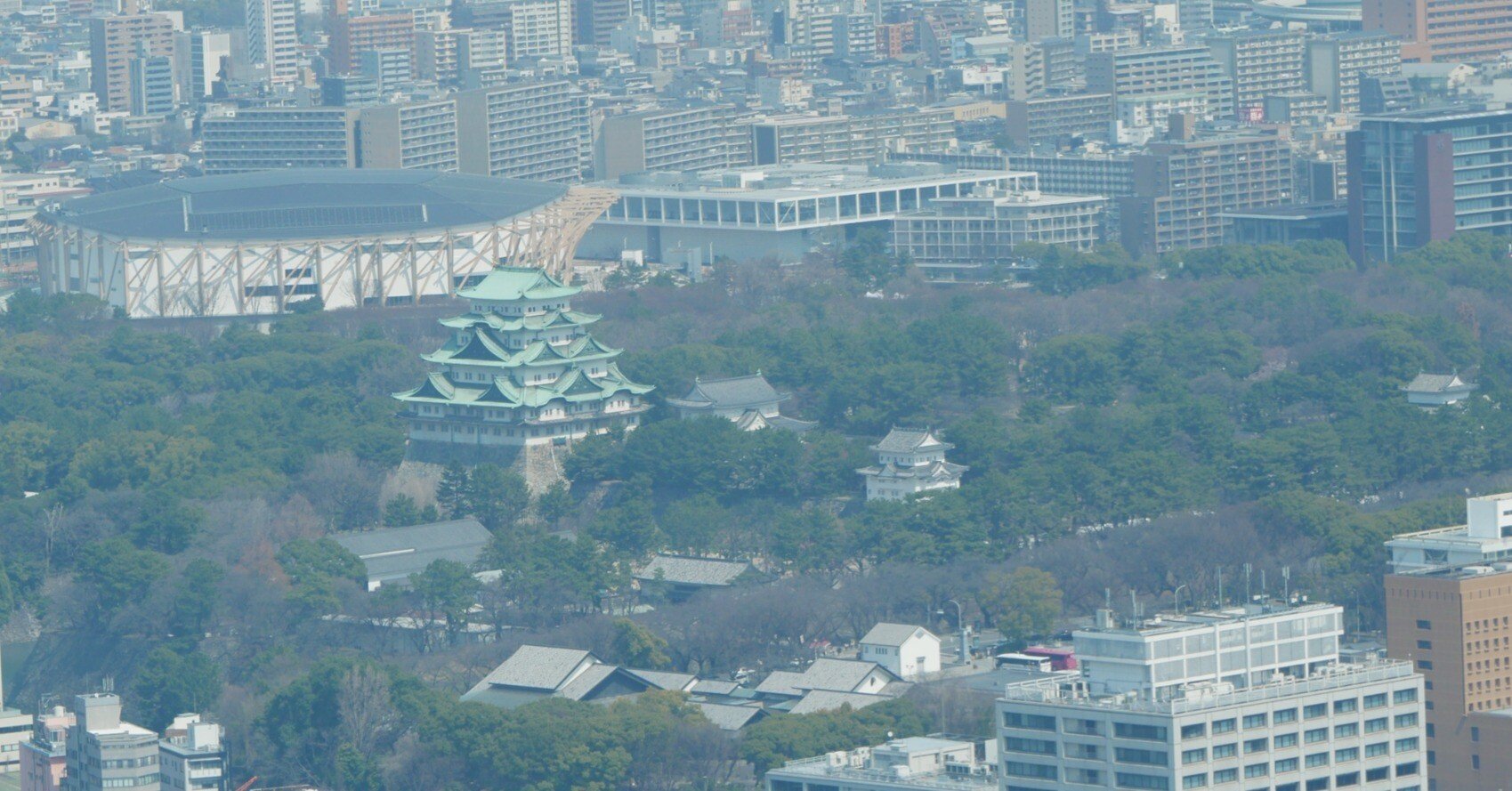560 名古屋空中散歩。｜ミヤコカエデ（Miyako Kaede)