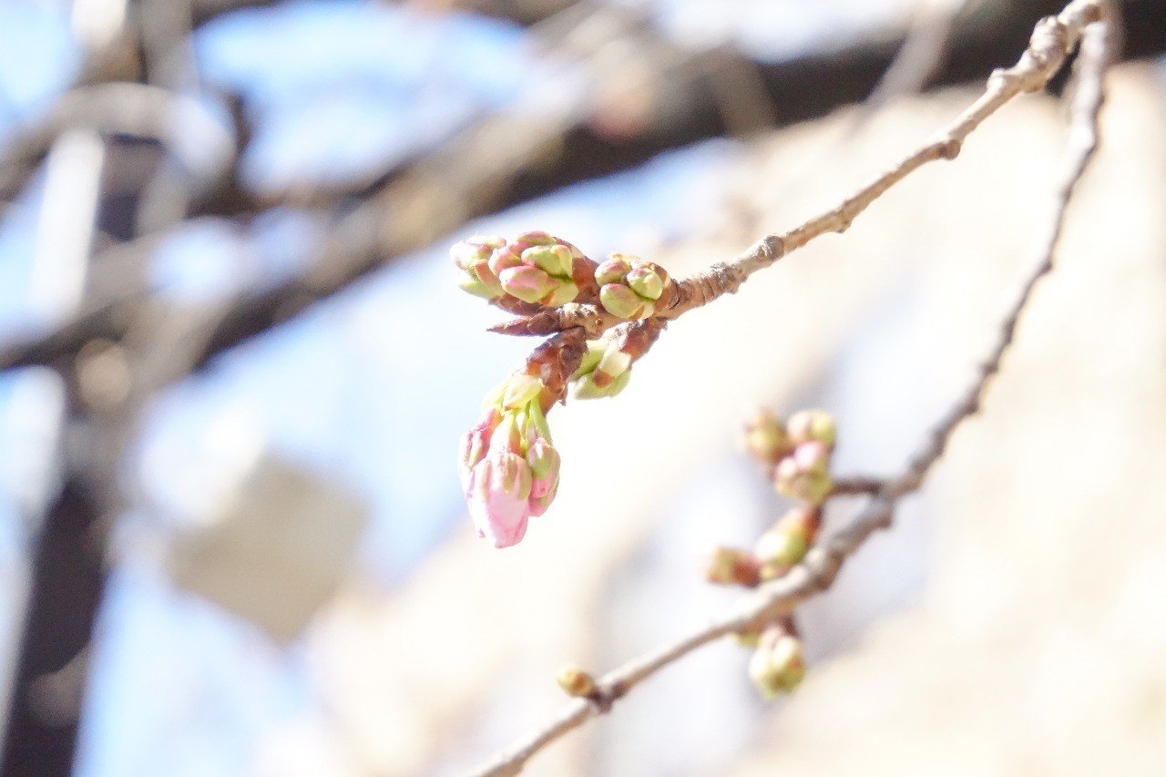 え そんな近くにいたの 春が二階から落ちて来た スミヨ Note