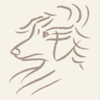 先日会った柴犬さん とってもおりこうさんだった その後 女の子だと判明 かっこいい系女子 じろさん Note 先日会った柴犬さん とってもおりこうさんだった その後 女の子だと判明 かっこいい系女子 じろさん Note