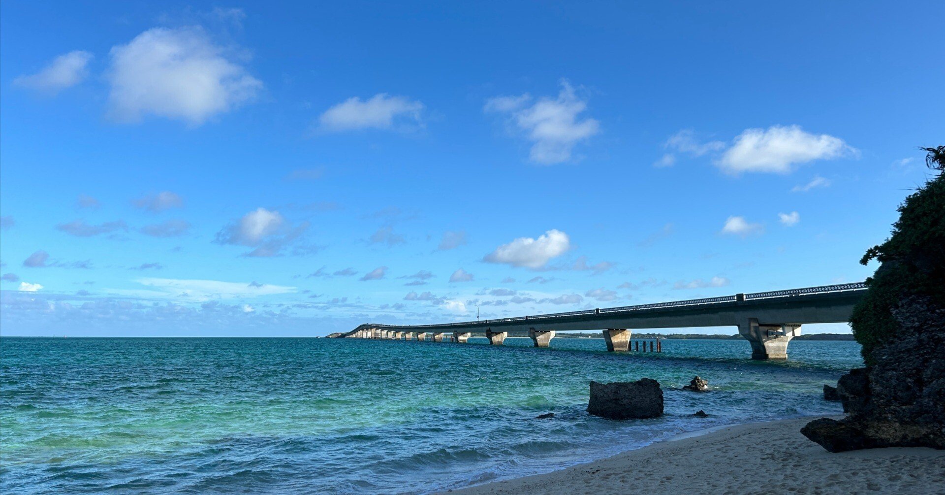 スタートアップM&A/IPOをはじめ、スタートアップ・ファイナンス、CFO