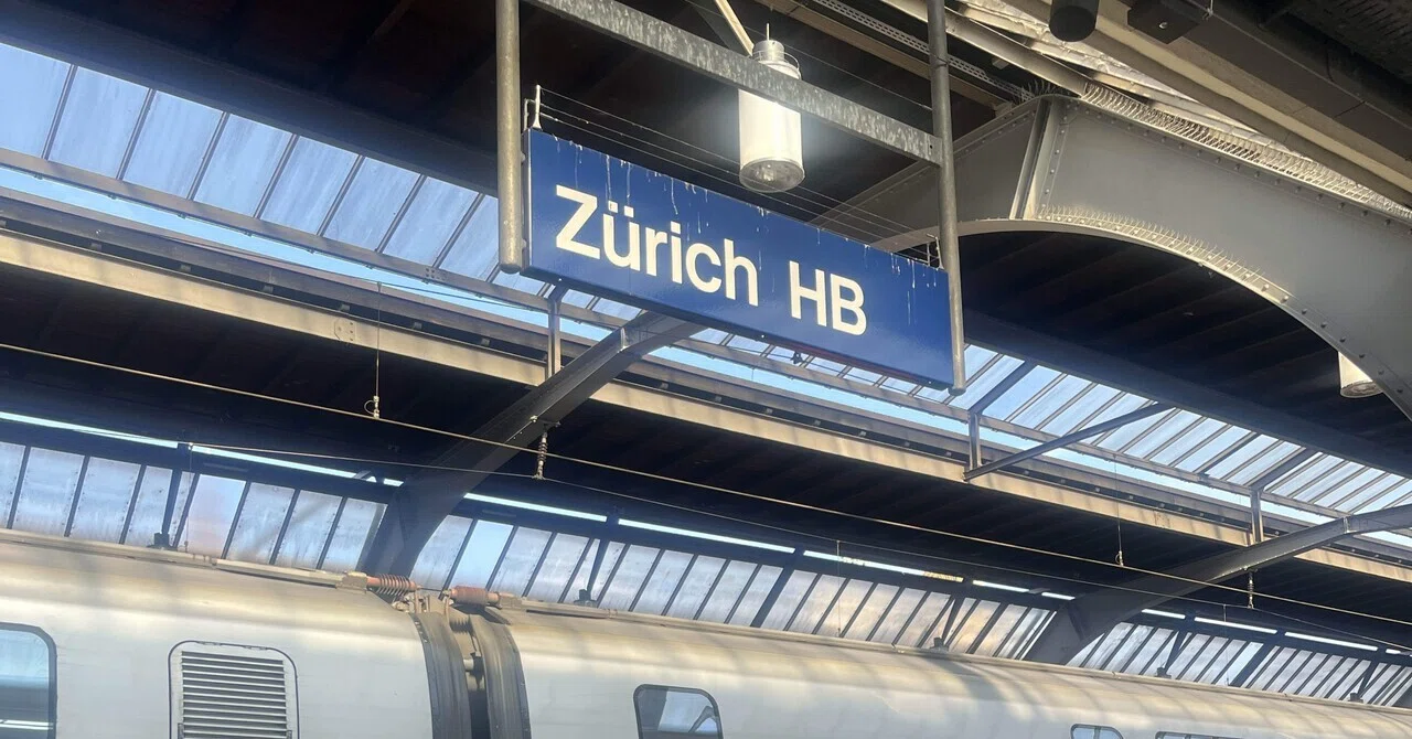 フランス➡️憧れの国スイスへ！！🇨🇭初めてのTGV｜みぽ