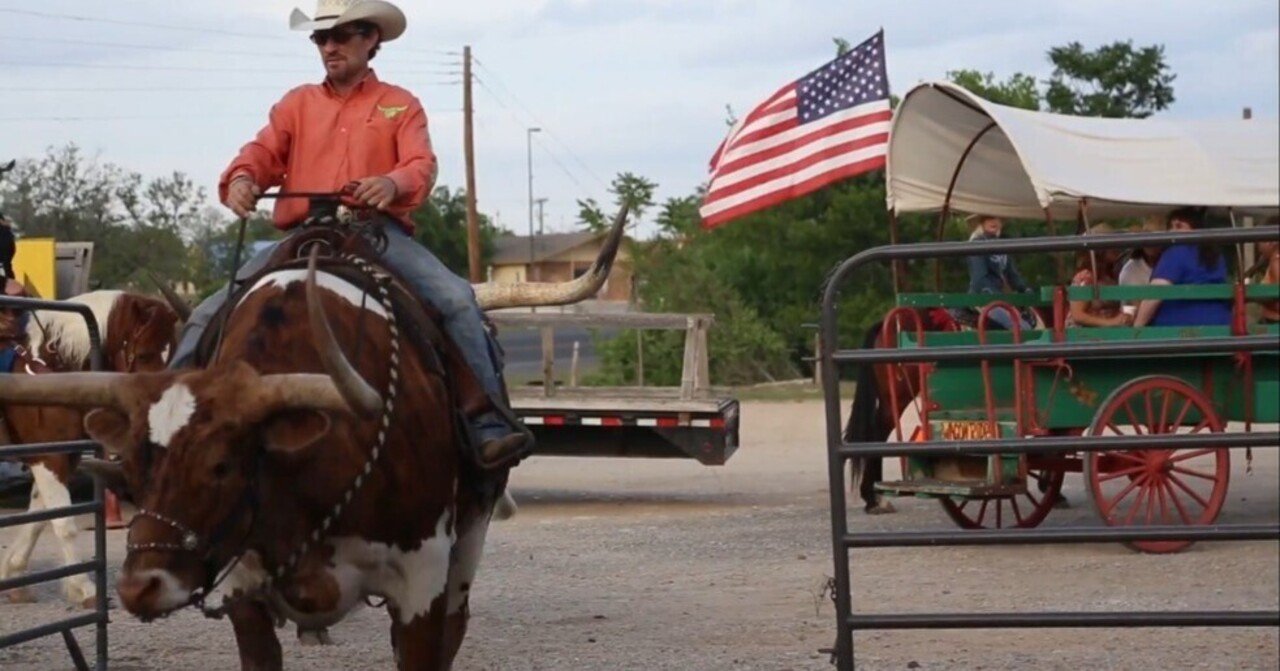テキサス州：カウボーイ文化の中心地｜Nozy