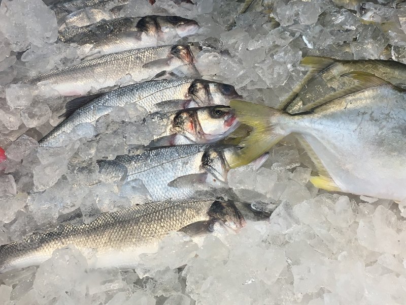 調理法付き アメリカでおすすめの魚12種紹介 Azuna Note 調理法付き アメリカでおすすめの魚12種紹介 Azuna Note