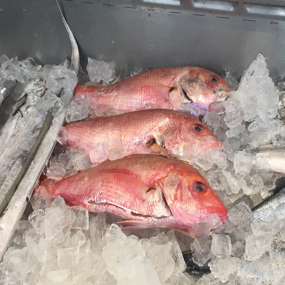 調理法付き アメリカでおすすめの魚12種紹介 Azuna Note
