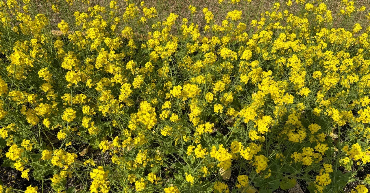 今の感じてること｜miyapi