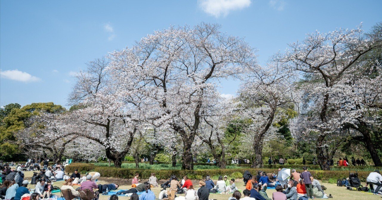 NIKON Z50IIとLUMIX G9IIで行く「新宿御苑の桜」｜Photographer non🐤