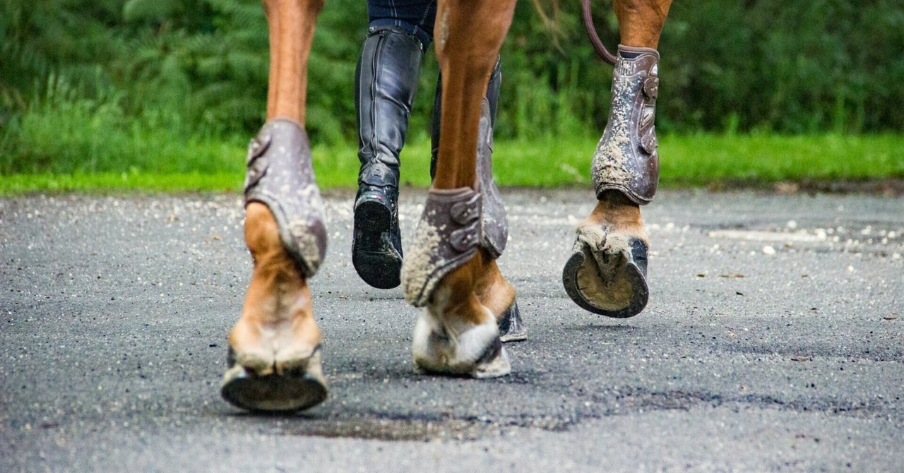 乗馬　乗馬用品　鍗底保護　ドライフィート 乗馬 乗馬用品 鍗底保護 ドライフィート