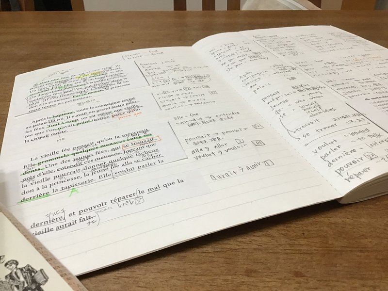 フランス語のみで書かれたおとぎ話を自力で訳す Google翻訳の精度がすごい Moi Note
