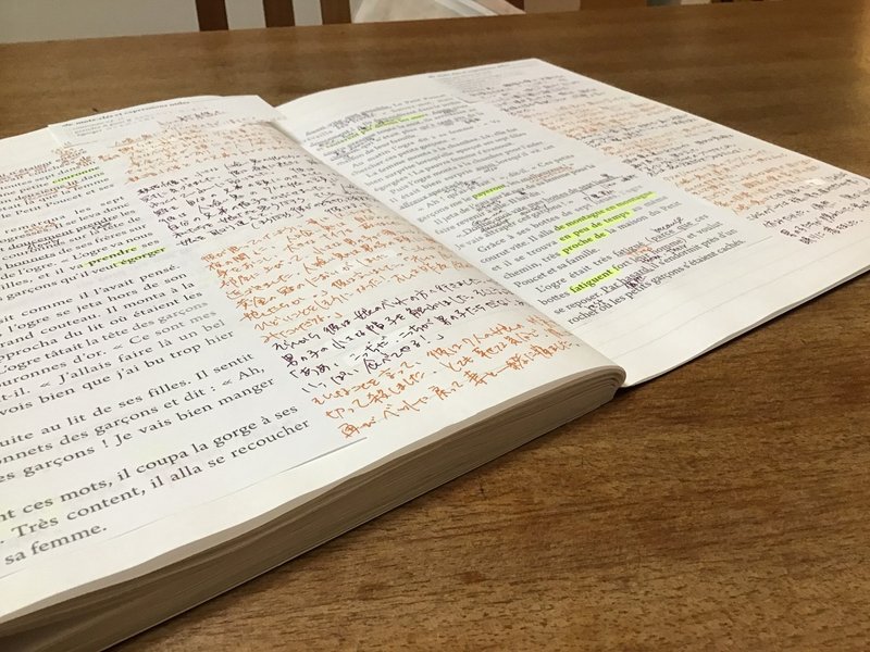 フランス語のみで書かれたおとぎ話を自力で訳す Google翻訳の精度がすごい Moi Note